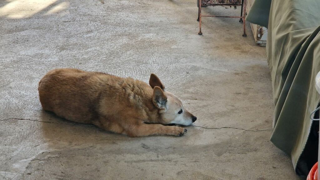 Click to See Next Image