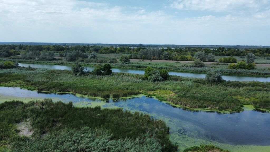 Click to See Next Image