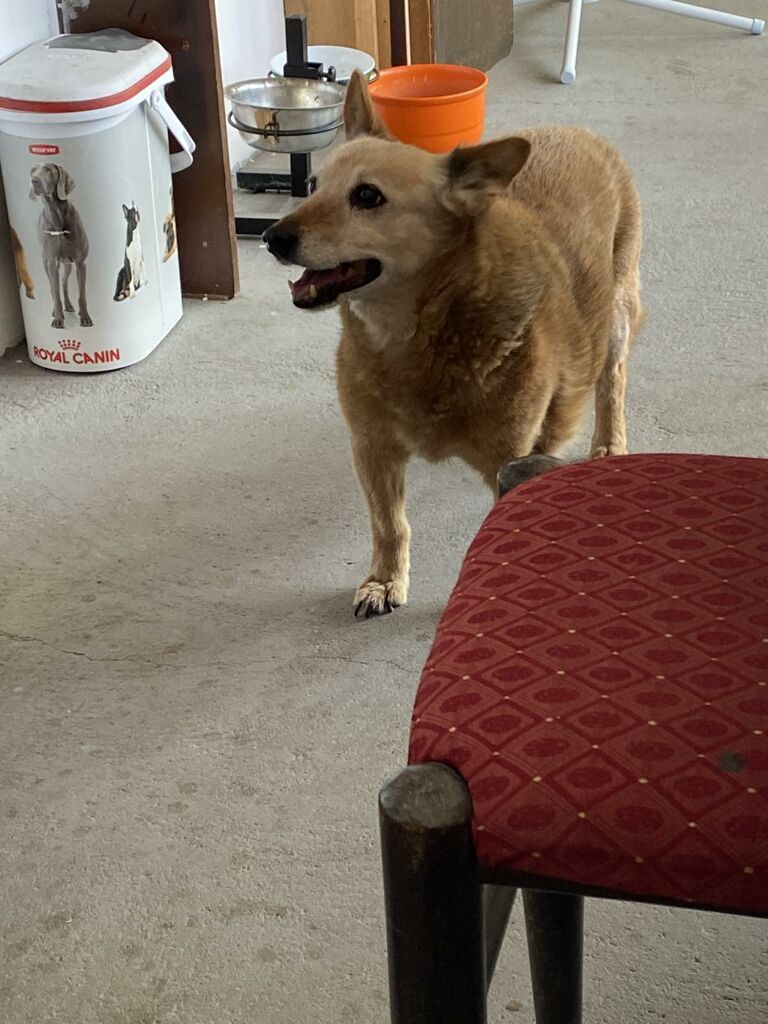 Click to See Next Image